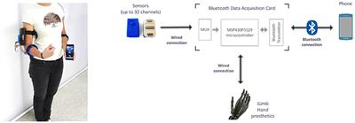 Assessment of a Wearable Force- and Electromyography Device and Comparison of the Related Signals for Myocontrol